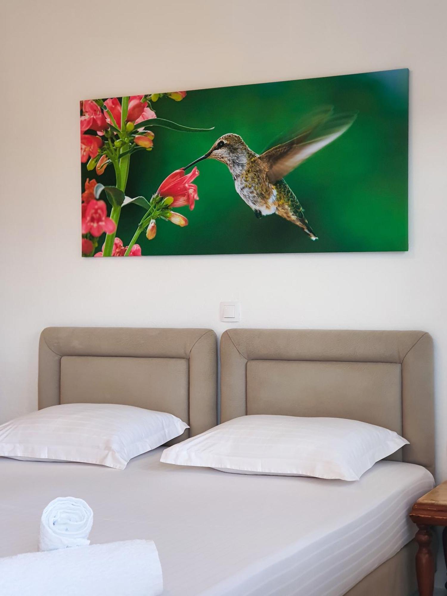Bodini'S Rooms Himare Exterior foto